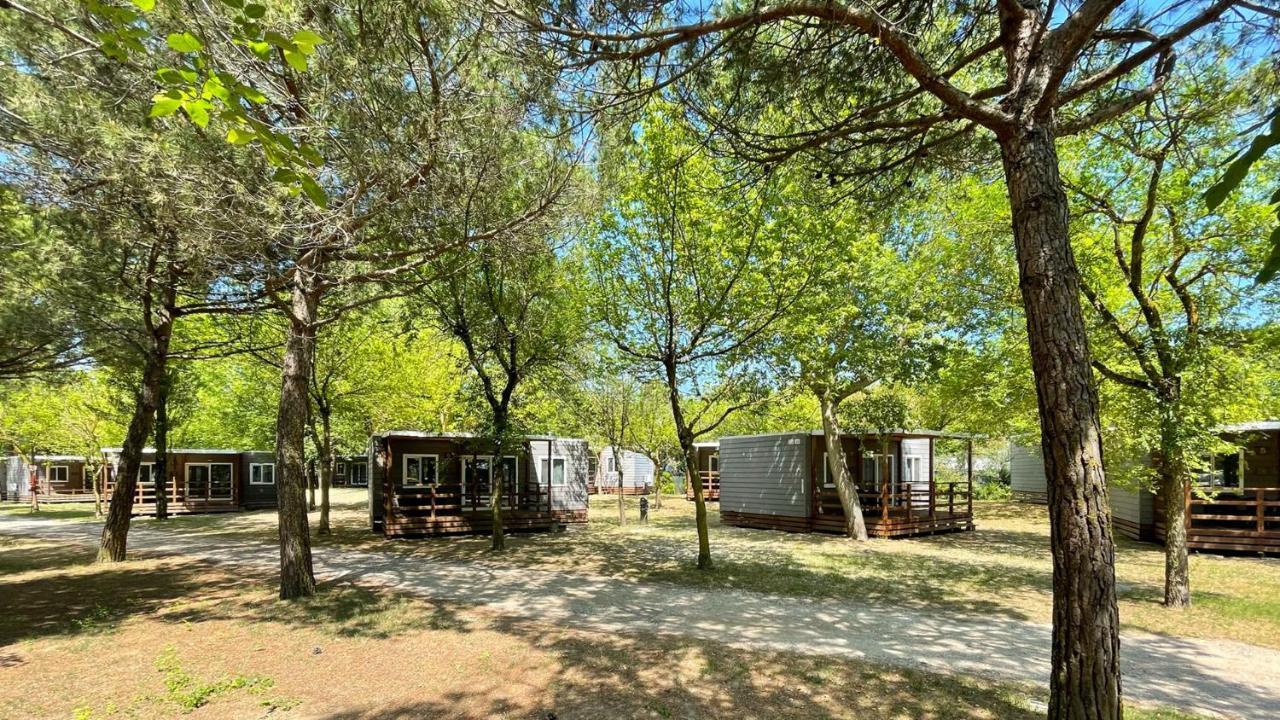 New Campsite In Camping Ca' Savio Cavallino-Treporti Εξωτερικό φωτογραφία
